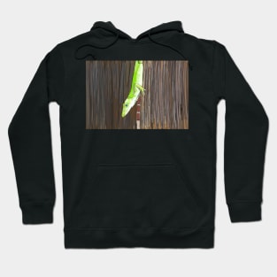 The Case of the Curios Anole in the Garden Hoodie